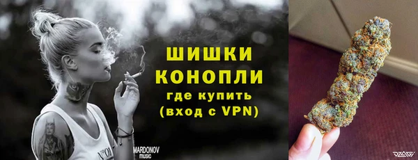 шишки Абинск