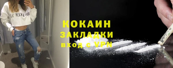 шишки Абинск