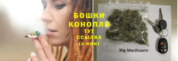шишки Абинск