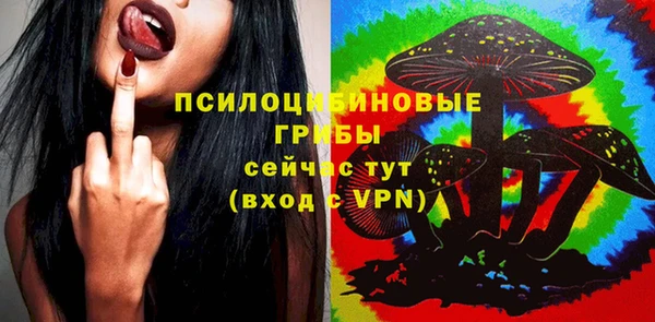 шишки Абинск