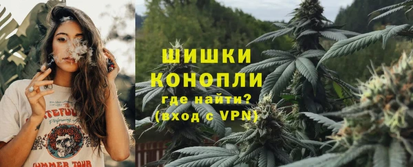 шишки Абинск