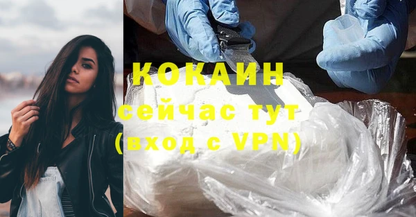 шишки Абинск