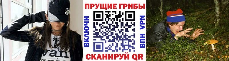 Псилоцибиновые грибы Psilocybine cubensis  Домодедово 